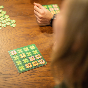 Lucky Numbers familiespil - braetspil - aarets familiespil 2025