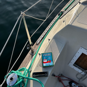 Fishing (nordic) - familiespil - kortspil - boernespil (2)